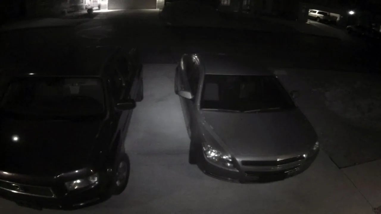 On January 24, 2019, David and Judi Pierce’s cars were parked overnight in Homeowner X’s driveway, despite their own driveway remaining empty following their driveway expansion.